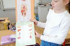 Anatomia małego człowieka