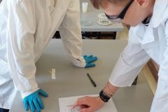 Badanie właściwości alkoholu etylowego