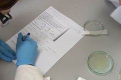 Badanie właściwości alkoholu etylowego