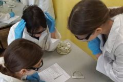 Badanie właściwości alkoholu etylowego