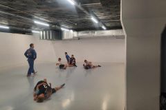 Brazilian Jiu Jitsu