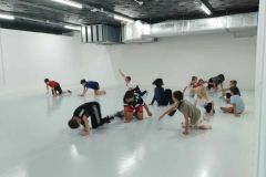 Brazilian Jiu Jitsu