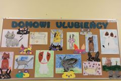Domowi ulubieńcy