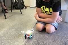 Dowolne modele klasa 6