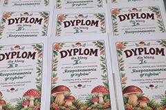 Dzień Grzyba