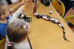 Dzień Nauki - pokaz robotów lego