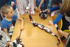 Dzień Nauki - pokaz robotów lego