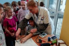 Festiwal Nauk Ścisłych