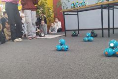 Festiwal nauki