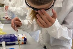 Jesienno-chemiczne doświadczenie