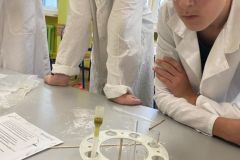 Jesienno-chemiczne doświadczenie