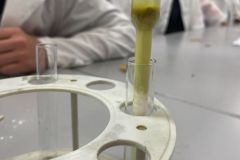 Jesienno-chemiczne doświadczenie