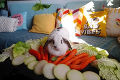 II miejsce Filip 4c