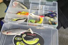 Marzy mi się złota rybka