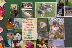 Międzynarodowy Dzień Zwierząt 2025 Międzynarodowy Dzień Zwierząt 2025