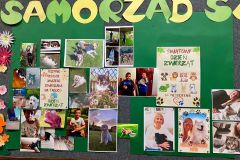 Międzynarodowy Dzień Zwierząt 2025 Międzynarodowy Dzień Zwierząt 2025