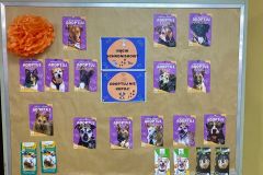 Międzynarodowy Dzień Zwierząt 2025 Międzynarodowy Dzień Zwierząt 2025