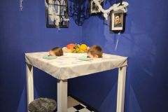 Muzeum iluzji nauki i sztuki