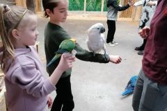 Niezwykła lekcja przyrody