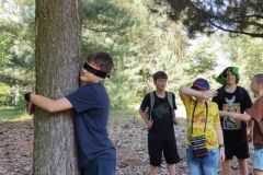 Ogród Dendrologiczny