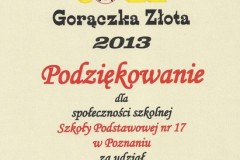 Gorączka Złota 2013