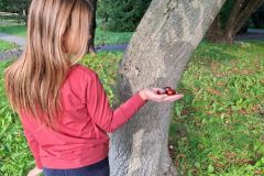 Pierwszy dzień jesieni Pierwszy dzień jesieni