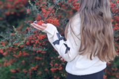 Pierwszy dzień jesieni Pierwszy dzień jesieni