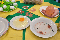 Świąteczny festiwal eksperymentów