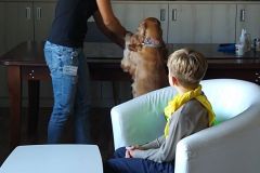 W klinice weterynaryjnej W klinice weterynaryjnej