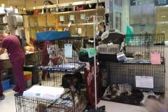 W klinice weterynaryjnej W klinice weterynaryjnej