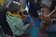 W klinice weterynaryjnej W klinice weterynaryjnej