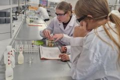 Warsztaty na Wydziale Chemii UAM