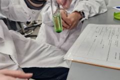 Warsztaty na Wydziale Chemii UAM