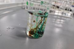 Warsztaty na Wydziale Chemii UAM