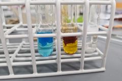 Warsztaty na Wydziale Chemii UAM