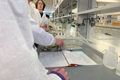 Warsztaty na Wydziale Chemii UAM