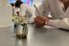 Warsztaty na Wydziale Chemii UAM