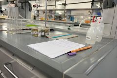 Warsztaty na Wydziale Chemii UAM