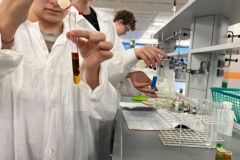 Warsztaty na Wydziale Chemii UAM