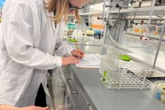 Warsztaty na Wydziale Chemii UAM