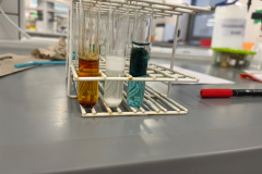 Warsztaty na Wydziale Chemii UAM