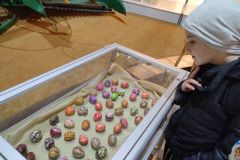 Warsztaty wielkanocne w Szreniawie