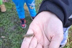 Wycieczka do Nadleśnictwa w Pniewach Wycieczka do Nadleśnictwa w Pniewach