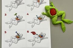 Wydruk 3D anatomia żaby