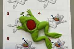 Wydruk 3D anatomia żaby