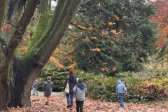 Wyjście do ogrodu botanicznego