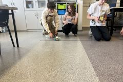 Wyścigi skoczków 8b