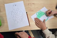 Żaba, żółw i żuk