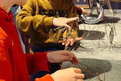 Zagadki, eksperymenty, iluzje