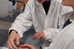 Zajecia laboratoryjne na Wydziale Chemii